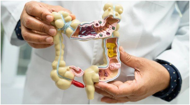 What Exactly Is Gut Health, and Why Should I Care?