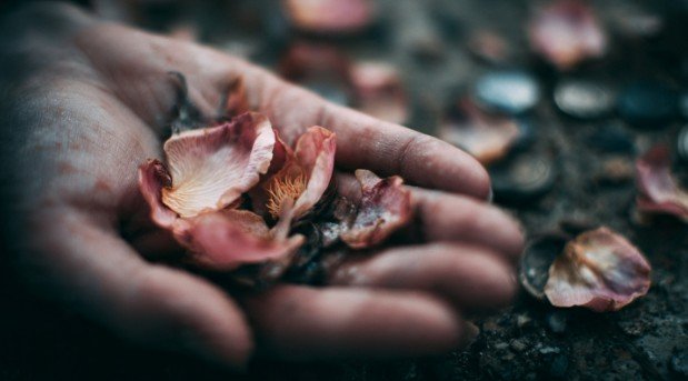 Why the Beauty for Ashes Verse Still Matters Today